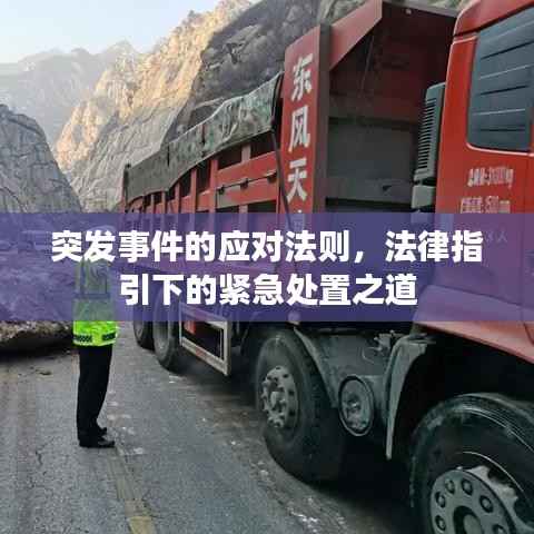 突发事件的应对法则,法律指引下的紧急处置之道