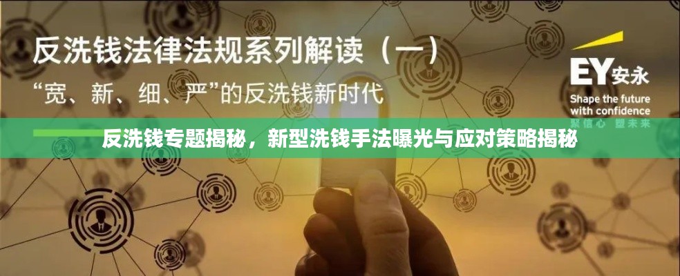 反洗钱专题揭秘，新型洗钱手法曝光与应对策略揭秘