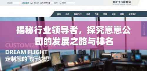 揭秘行业领导者,探究崽崽公司的发展之路与排名