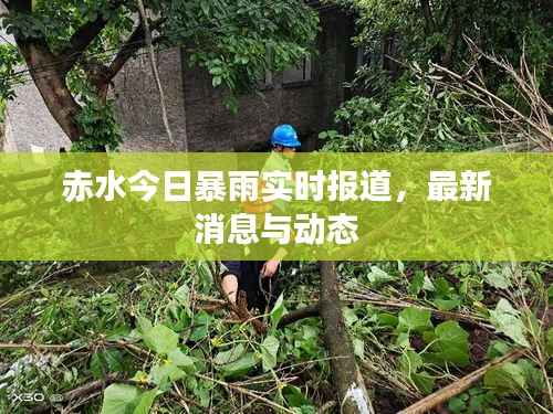 赤水今日暴雨实时报道，最新消息与动态