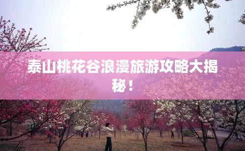 荡然无存 第3页