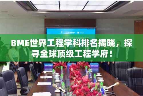 BME世界工程学科排名揭晓,探寻全球顶级工程学府!