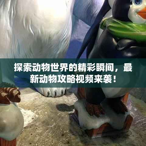 探索动物世界的精彩瞬间,最新动物攻略视频来袭!