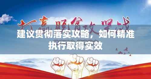 建议贯彻落实攻略,如何精准执行取得实效