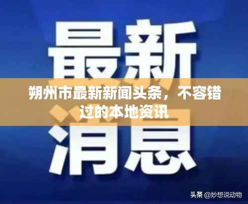 朔州市最新新闻头条,不容错过的本地资讯