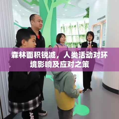 森林面积锐减,人类活动对环境影响及应对之策