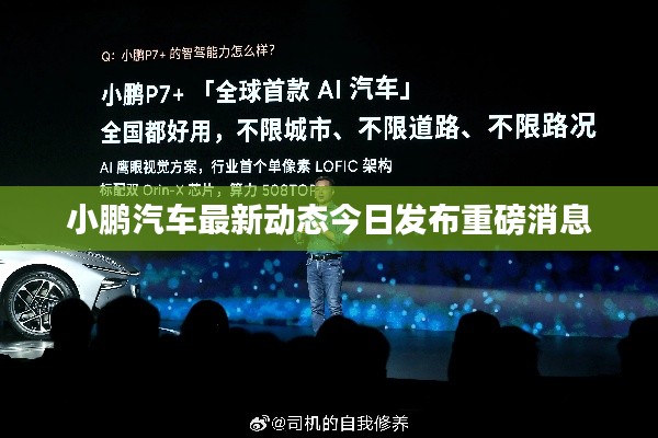 小鹏汽车最新动态今日发布重磅消息