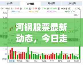 河钢股票最新动态,今日走势分析与消息速递