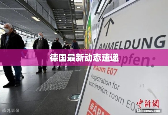 德国最新动态速递