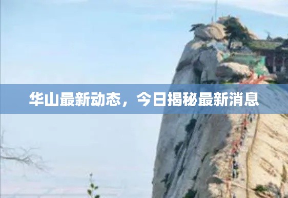 华山最新动态,今日揭秘最新消息