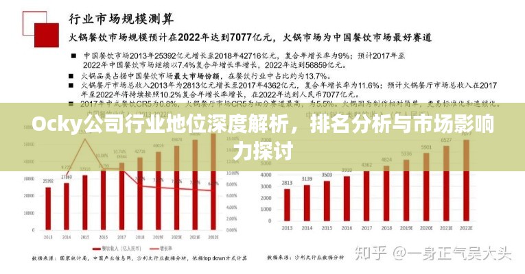 Ocky公司行业地位深度解析,排名分析与市场影响力探讨