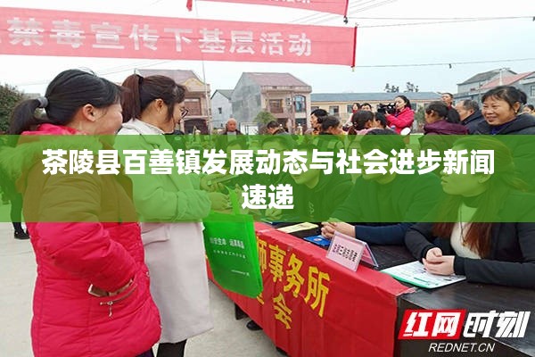 茶陵县百善镇发展动态与社会进步新闻速递