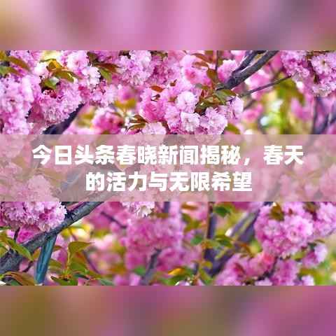 今日头条春晓新闻揭秘，春天的活力与无限希望