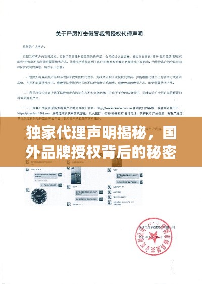 纲举目张 第3页