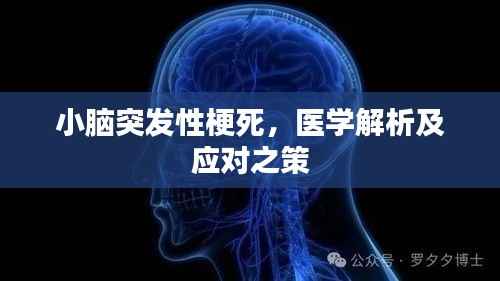 小脑突发性梗死,医学解析及应对之策