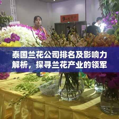 泰国兰花公司排名及影响力解析，探寻兰花产业的领军者