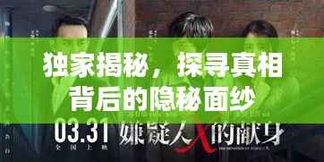 独家揭秘,探寻真相背后的隐秘面纱