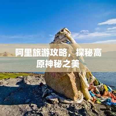 阿里旅游攻略，探秘高原神秘之美