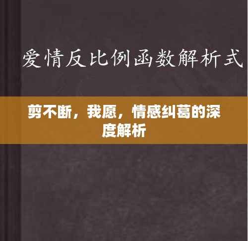 剪不断,我愿,情感纠葛的深度解析