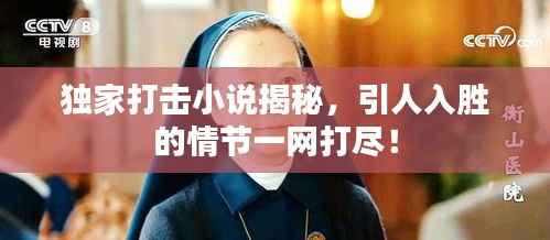 独家打击小说揭秘,引人入胜的情节一网打尽!