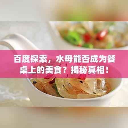 百度探索,水母能否成为餐桌上的美食?揭秘真相!