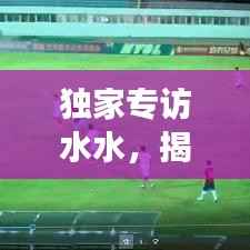 独家专访水水,揭秘背后的故事与不为人知的秘密