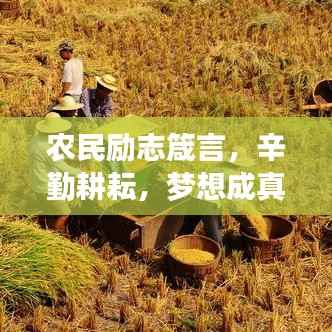 农民励志箴言,辛勤耕耘,梦想成真时刻