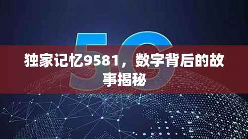 独家记忆9581，数字背后的故事揭秘