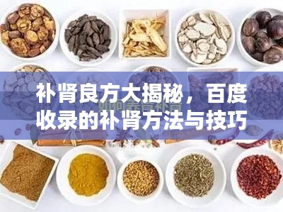 补肾良方大揭秘,百度收录的补肾方法与技巧
