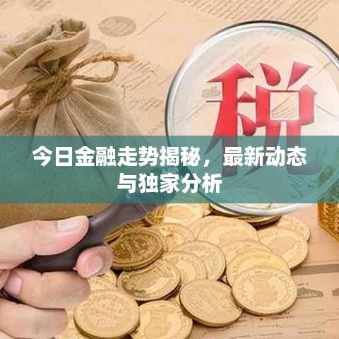 今日金融走势揭秘,最新动态与独家分析