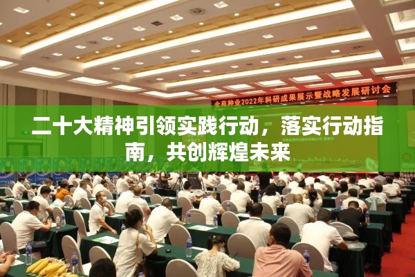 二十大精神引领实践行动,落实行动指南,共创辉煌未来