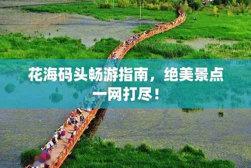 花海码头畅游指南,绝美景点一网打尽!