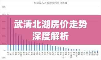武清北湖房价走势深度解析