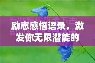 励志感悟语录,激发你无限潜能的深层启示