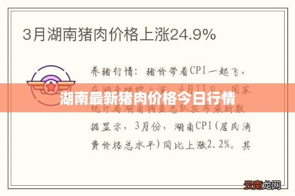 湖南最新猪肉价格今日行情
