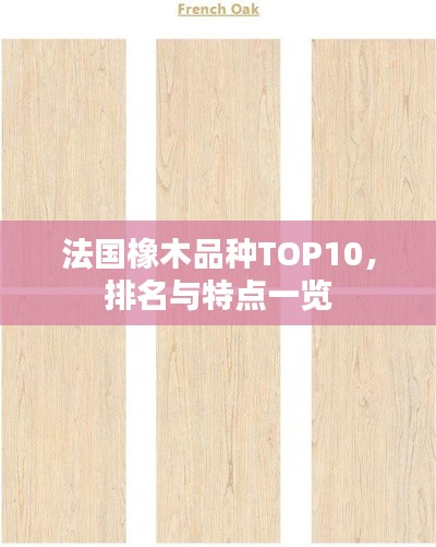 法国橡木品种TOP10,排名与特点一览