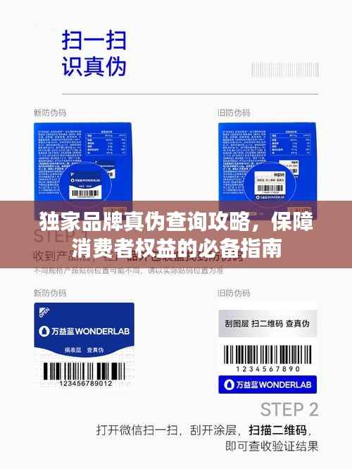 独家品牌真伪查询攻略，保障消费者权益的必备指南