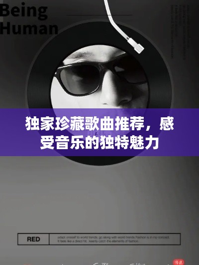 独家珍藏歌曲推荐，感受音乐的独特魅力