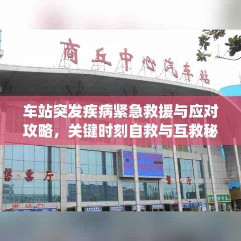 车站突发疾病紧急救援与应对攻略,关键时刻自救与互救秘籍!